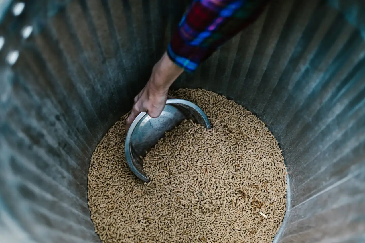 花椒籽原料筛选与加工工艺流程详解及饲料应用场景说明正文配图 2